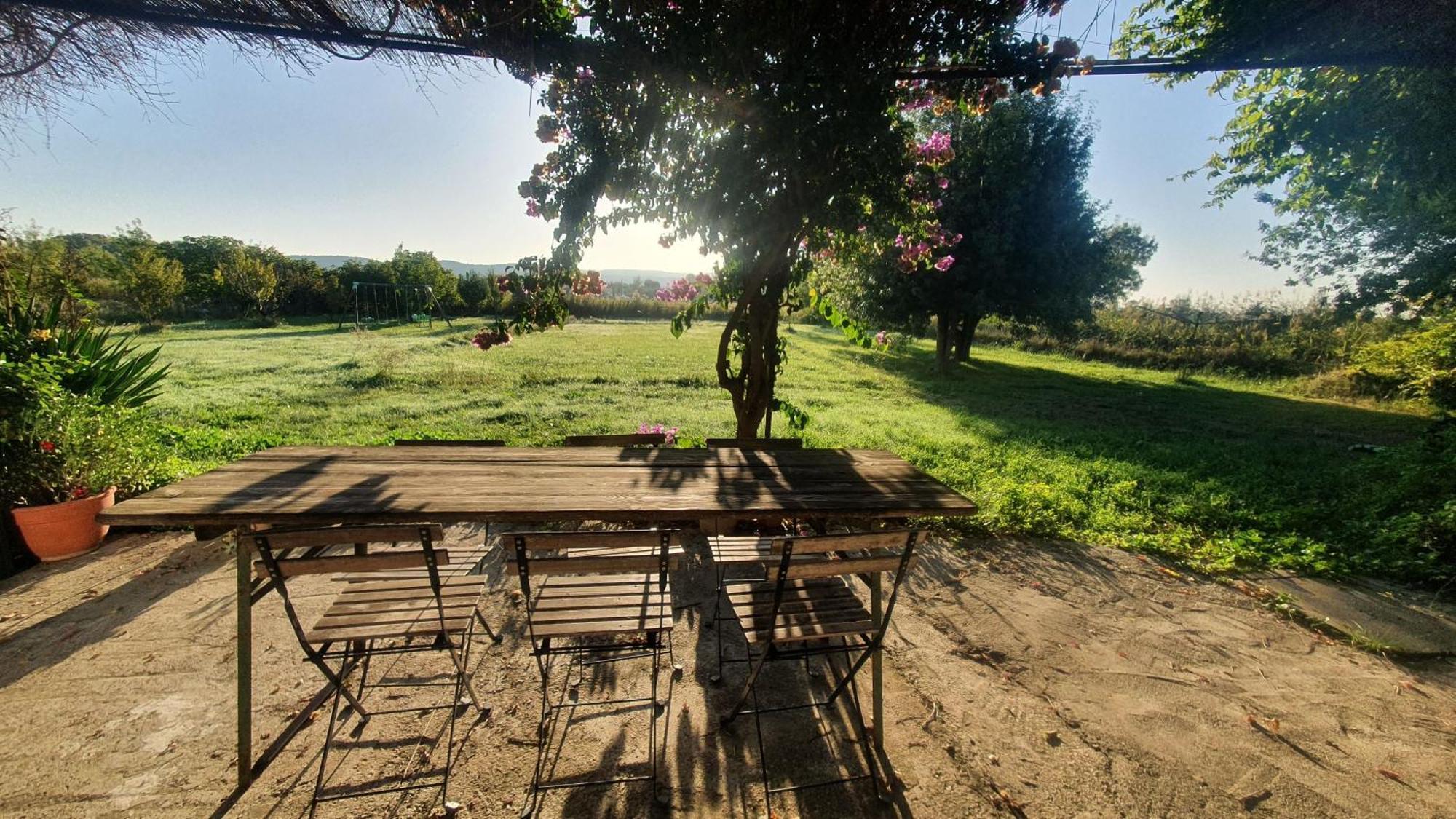 Domaine Limouzy *