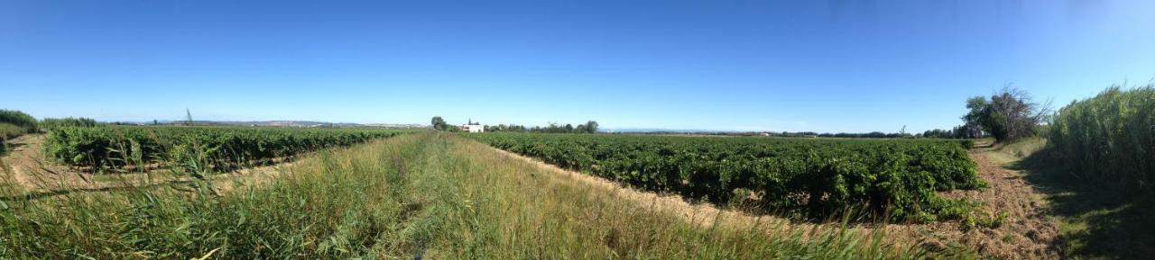 Domaine Limouzy *